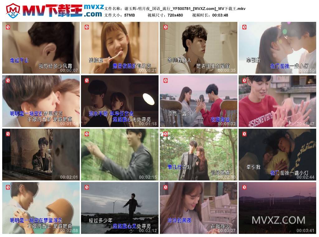 谢玉辉-明月夜_国语_流行_YF500781